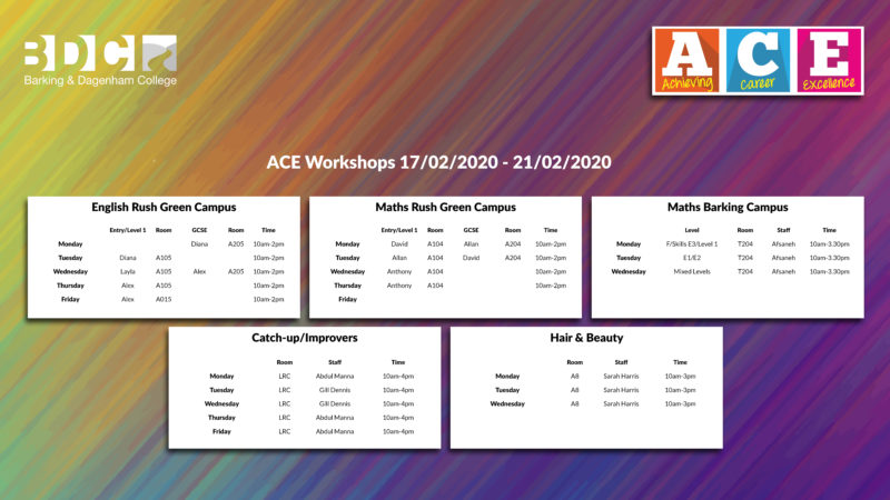 ACE Workshops